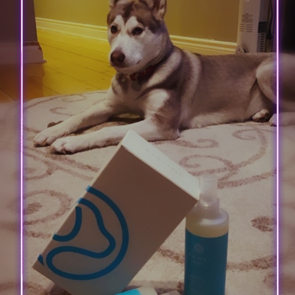 I f you are interested ? - Picture 4 of 4